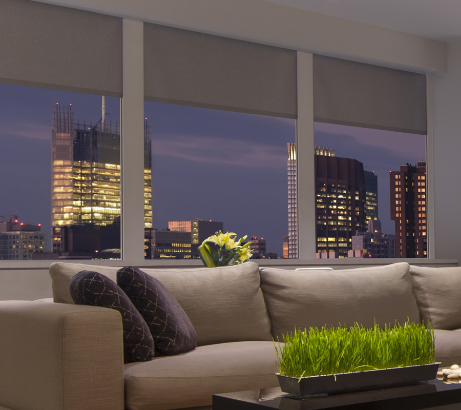 Shades, City View
